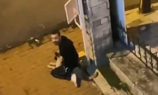 İnfial yaratan görüntü: Sokak köpeğini yere yatırarak boğmaya çalıştı