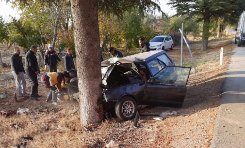 Üniversite öğrencilerinin içinde bulunduğu otomobil ağaca çarptı: Bir ölü, üç ağır yaralı