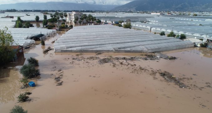 Sel felaketinin vurduğu Antalya Kumluca’da ürün yüzde 90 azaldı: Hal fiyatlarına yansıdı
