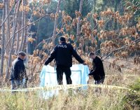 Antalya’da ormanlık alanda kafası ve kolları kesik erkek cesedi bulundu