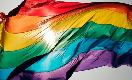 AKP iktidarının hedefinde LGBT dernekleri var: “Faaliyetlerine hızlıca son verilecek”