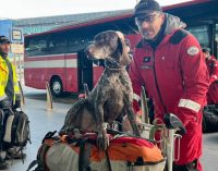 Avrupa Birliği’nden yardım ekipleri gelmeye devam ediyor: Bin 115 arama-kurtarmacı, 72 köpek yola çıktı