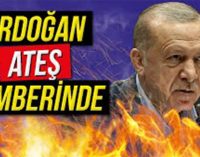 Gazeteci Ahmet Nesin: Erdoğan ateş çemberinde